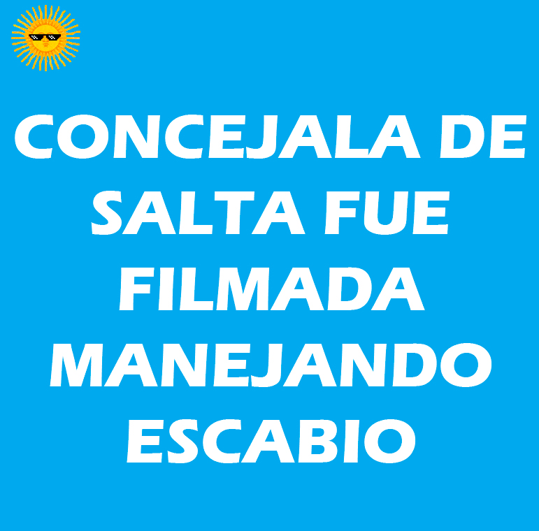 CONCEJALA DE SALTA MANEJA&nbsp;BORRACHA