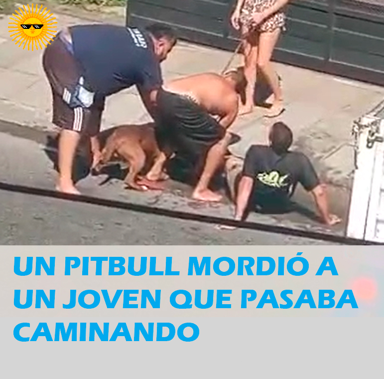UN PITBULL MORDIÓ A UN JOVEN QUE PASABA&nbsp;CAMINANDO