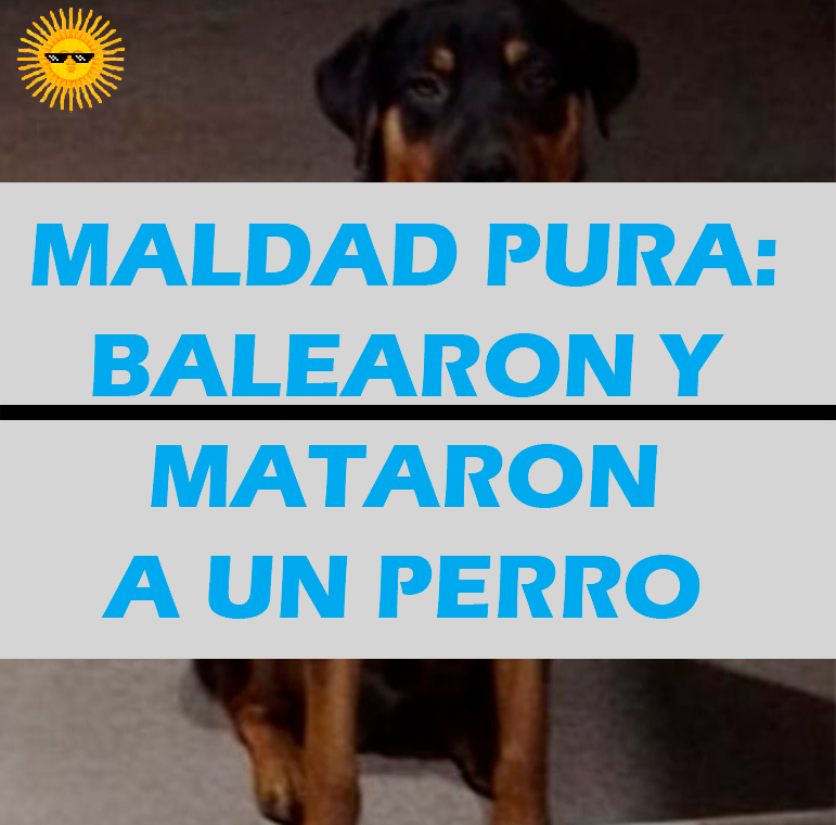 Maltrato animal en San&nbsp;Juan