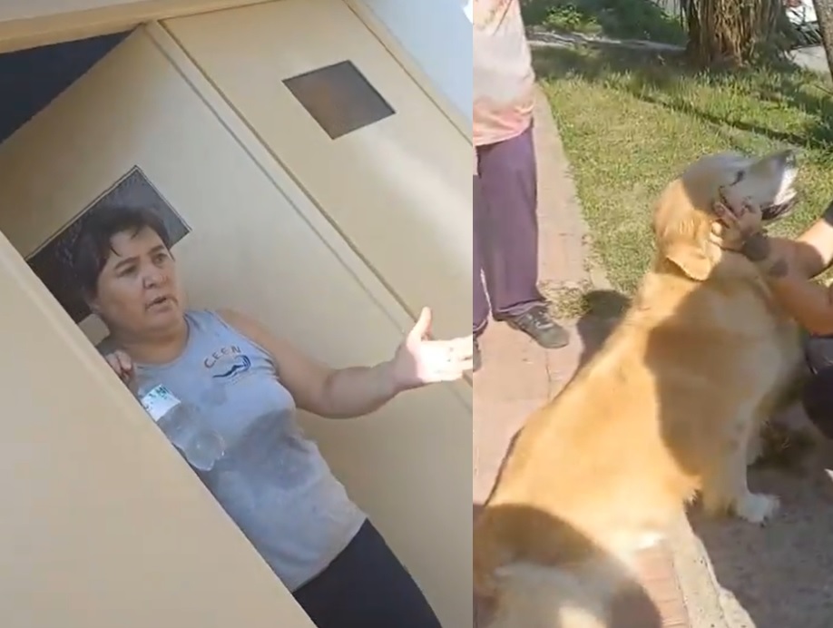 La Plata: Una mujer quiso faenar a su&nbsp;perro