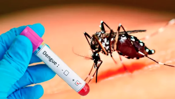 Los factores más importantes que puede desencadenar el dengue grave en los&nbsp;jóvenes