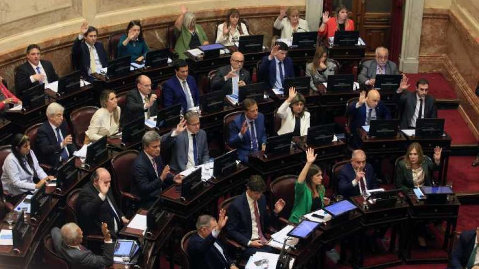La Ley Bases obtuvo media sanción en el Senado, sin embargo hubo modificaciones en la votación en&nbsp;particular