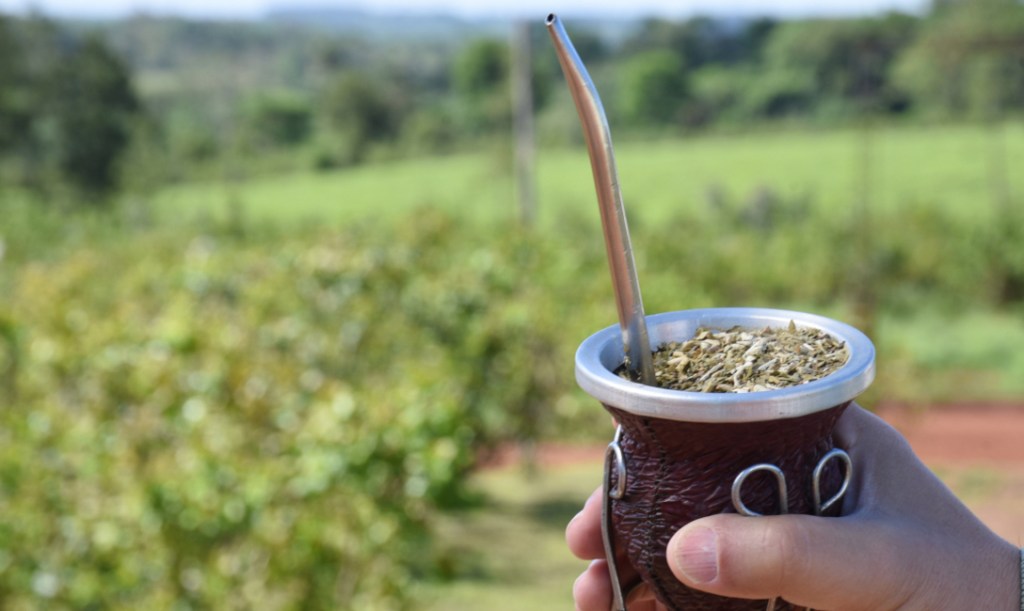Exportaciones argentinas de yerba mate crecieron 14,5%&nbsp;interanual
