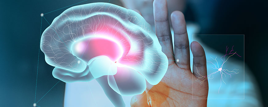 Avance médico: un implante cerebral guiado por IA reduce 50% los síntomas del&nbsp;Parkinson