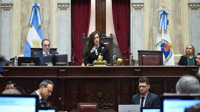 El Senado aprobó el aumento a jubilados pese al rechazo del&nbsp;Gobierno
