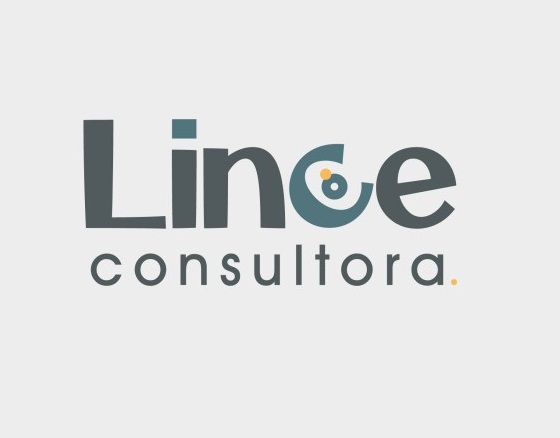 Lince Consultora: el aliado estratégico para potenciar tu&nbsp;negocio