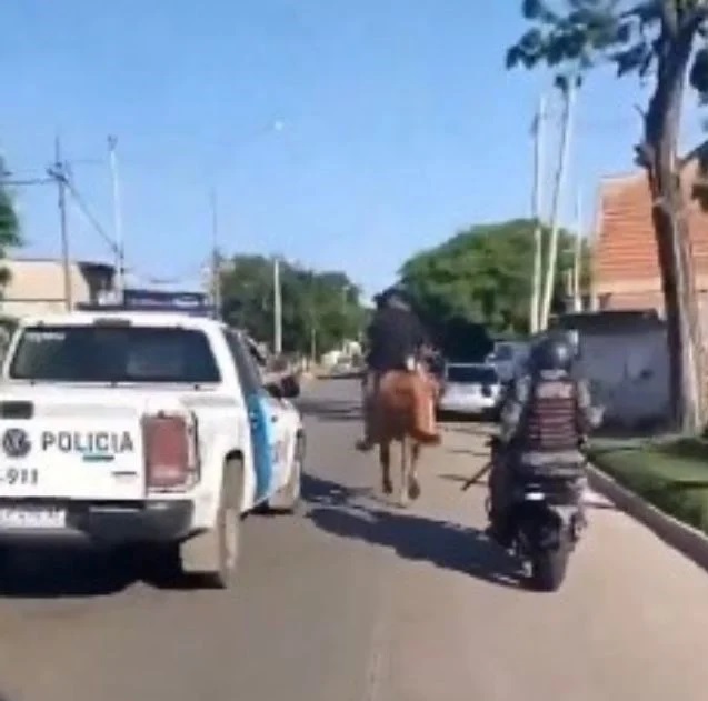 Bernal: Atrapan a dos menores que robaban a&nbsp;caballo