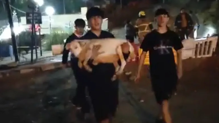 Comodoro: volvió a buscar a su perro en medio del derrumbe del Cerro&nbsp;Hermitte