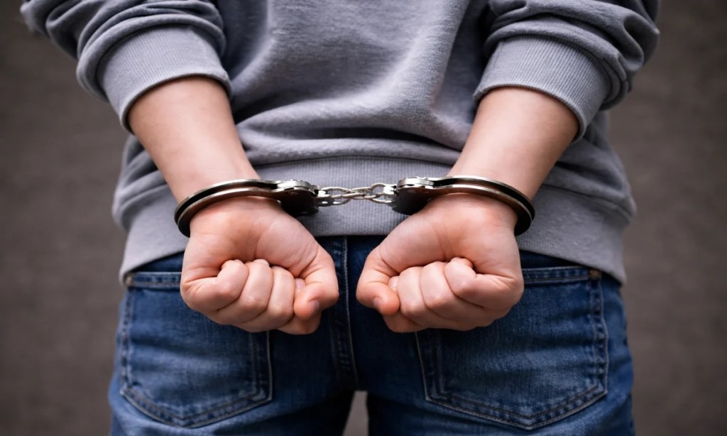 El Senado dio dictamen para bajar la edad de imputabilidad a 14 años